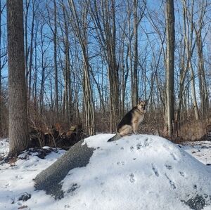 Meet your Posher, Irene